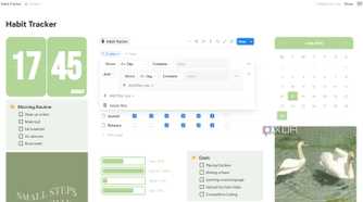 Search filter in Habit Tracker Notion template