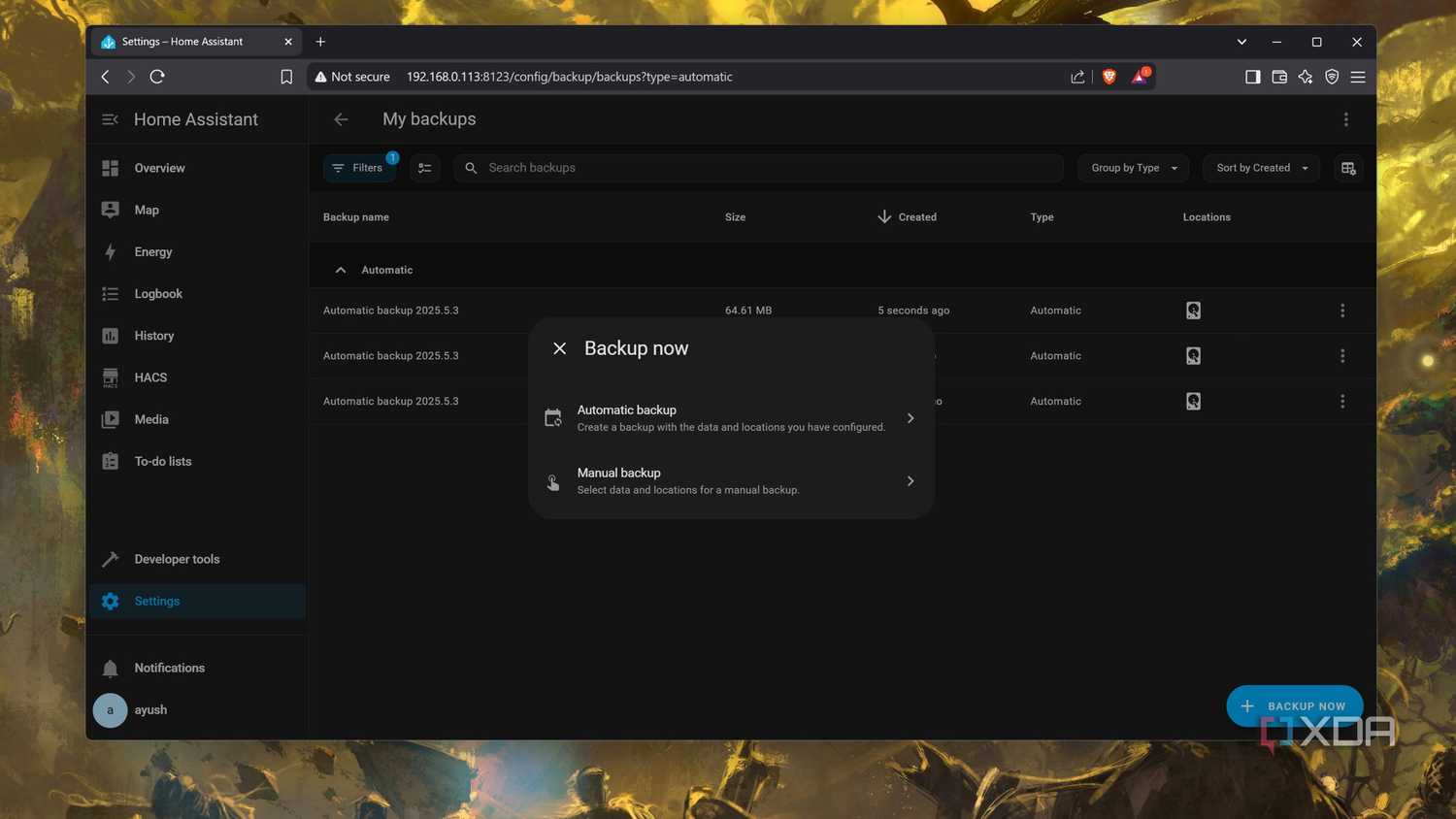 The Backup Now option in HASS