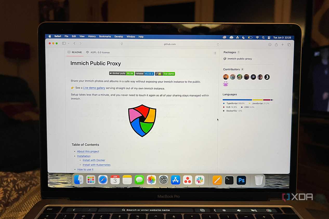 Immich Public Proxy GitHub page