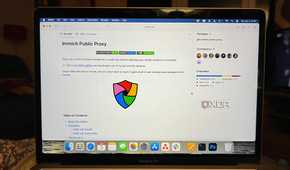 Immich Public Proxy GitHub page
