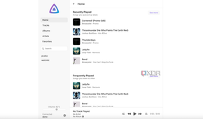 Jellyfin music app homescreen-1