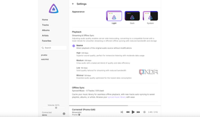 Jellyfin music app settings