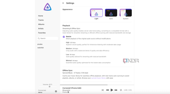 Jellyfin music app settings
