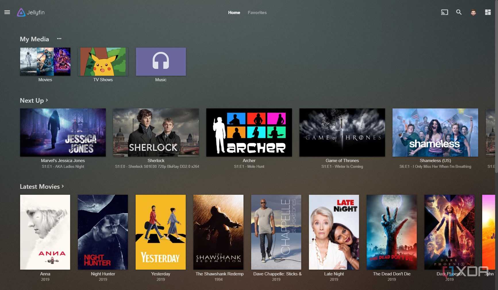 Jellyfin Plex Theme