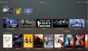 Jellyfin Plex Theme