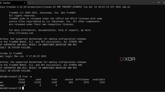 Running "free -m" on Linux over SSH