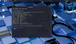nmap displaying IP address