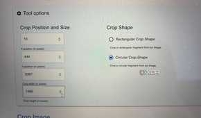 Omni Tools crop tool settings