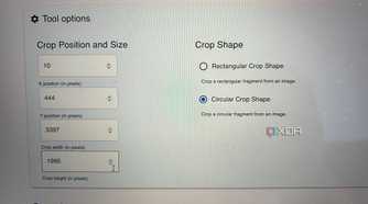 Omni Tools crop tool settings