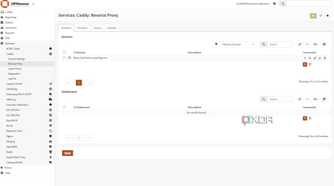opnsense-unbound-local-domain-caddy