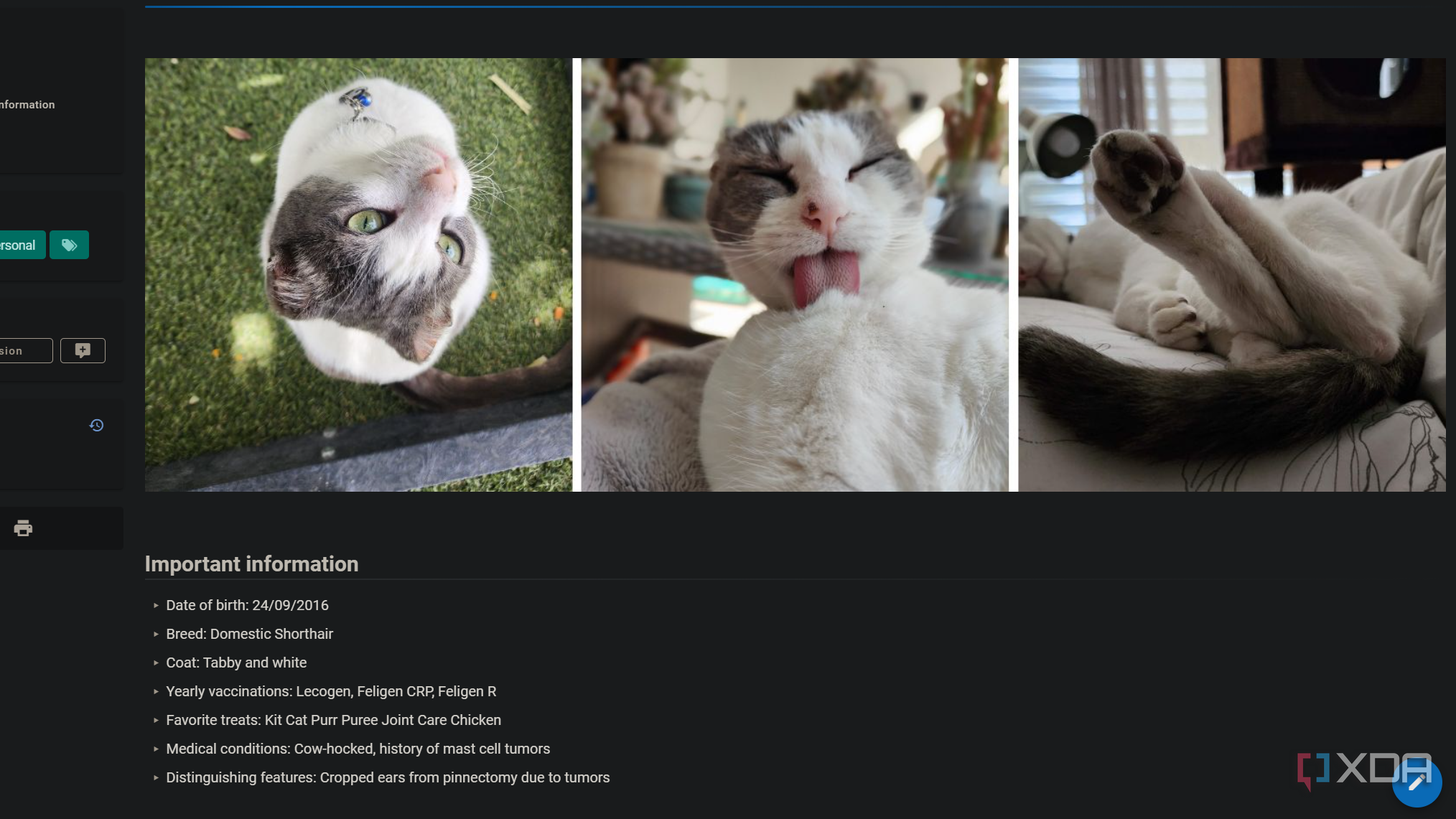 page with pet details in personal wiki