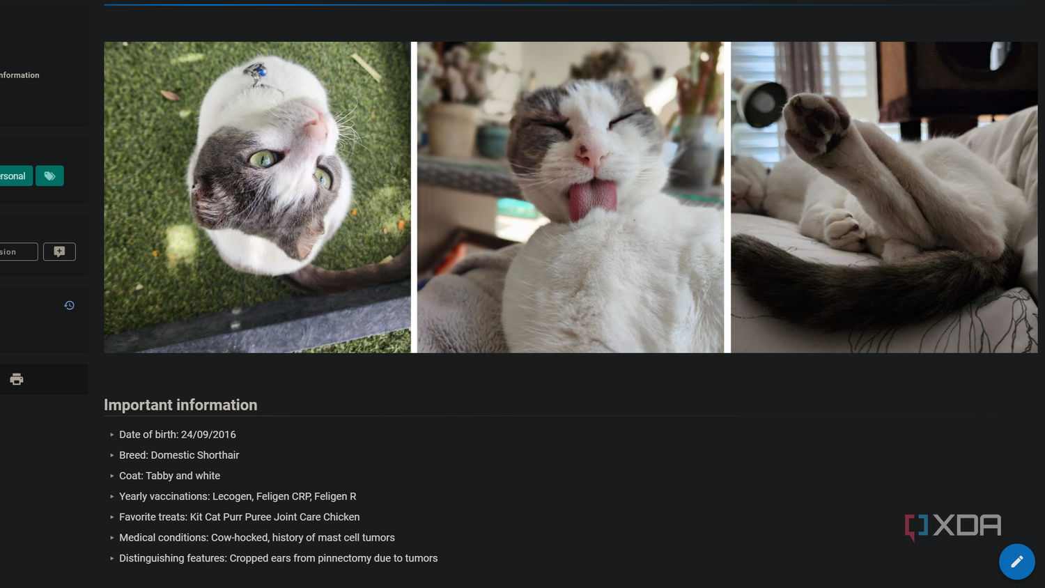page with pet details in personal wiki