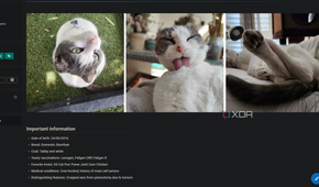 page with pet details in personal wiki