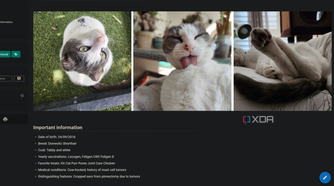 page with pet details in personal wiki