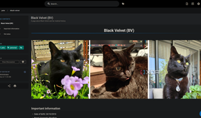 pet page for cat in wiki js