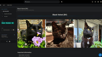 pet page for cat in wiki js