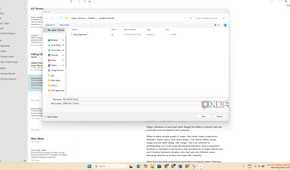 QuillSpace Export 4