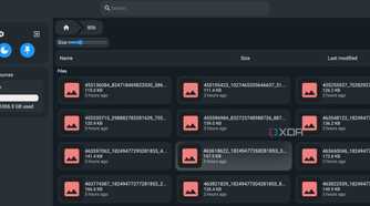 FileBrowser Quantum add images