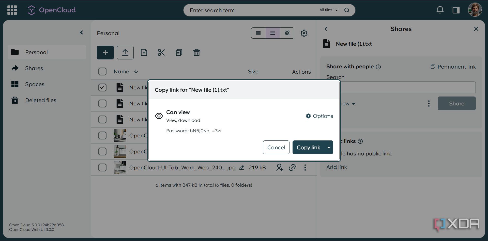Sharing file with password protected link