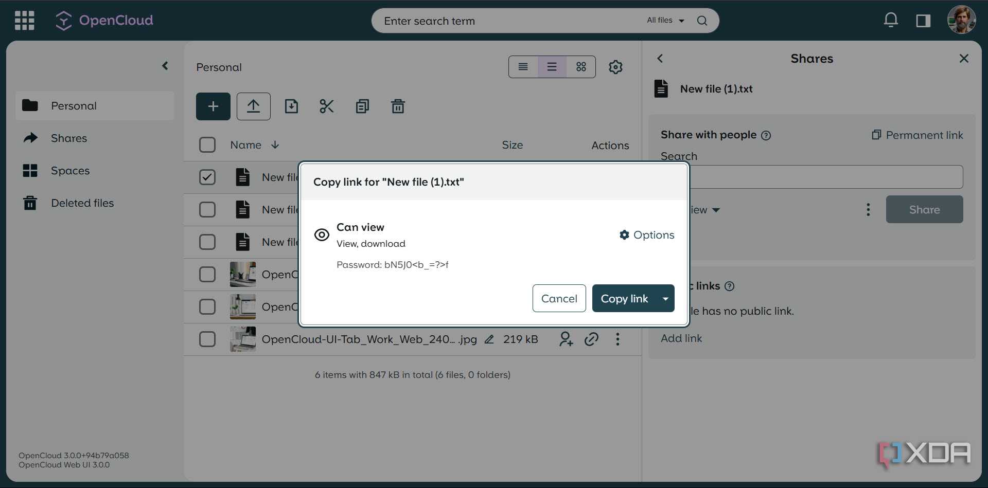 Sharing file with password protected link