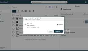 Sharing file with password protected link