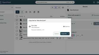 Sharing file with password protected link