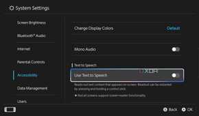 Screenshot showing visual and audio accessibility options on Nintendo Switch 2
