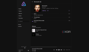 Tracks overview on Jellyfin music app