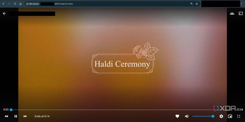 screenshot of video playback jellyfin chrome browser