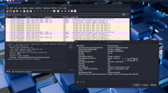 Display filters in Wireshark