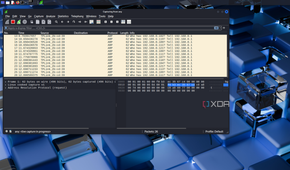 IP addresses in Wireshark