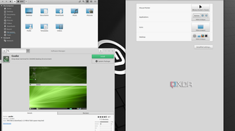 shows tweaking Mint themes