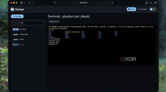 Bash mode for Gluetun container