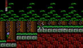 Screenshot from the NES game Castlevania II: Simon's Quest.