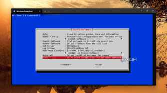 screenshot of commencing plex media server install dietpi