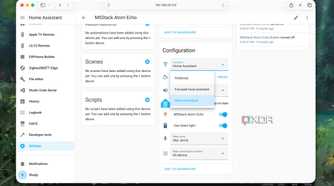 Configure Assistant for the Voice Assistant stack