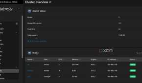 screenshot of docker portainer clusters