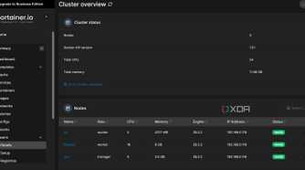 screenshot of docker portainer clusters