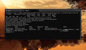 screenshot of docker portainer installed