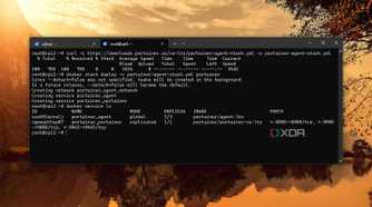 screenshot of docker portainer installed
