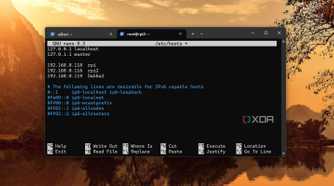 screenshot of docker swarm adjusting hosts file