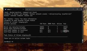 screenshot of docker swarm glusterfs volume list