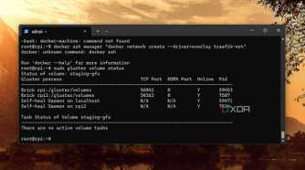screenshot of docker swarm glusterfs volume list