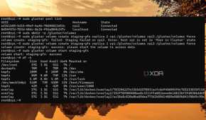 screenshot of docker swarm glusterfs volume