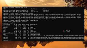 screenshot of docker swarm glusterfs volume