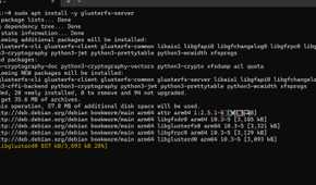 screenshot of docker swarm installing glusterfs
