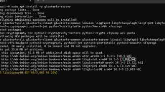 screenshot of docker swarm installing glusterfs
