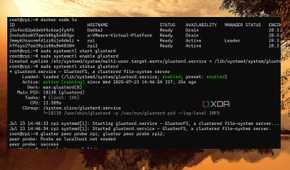 screenshot of docker swarm status glusterfs