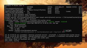 screenshot of docker swarm status glusterfs