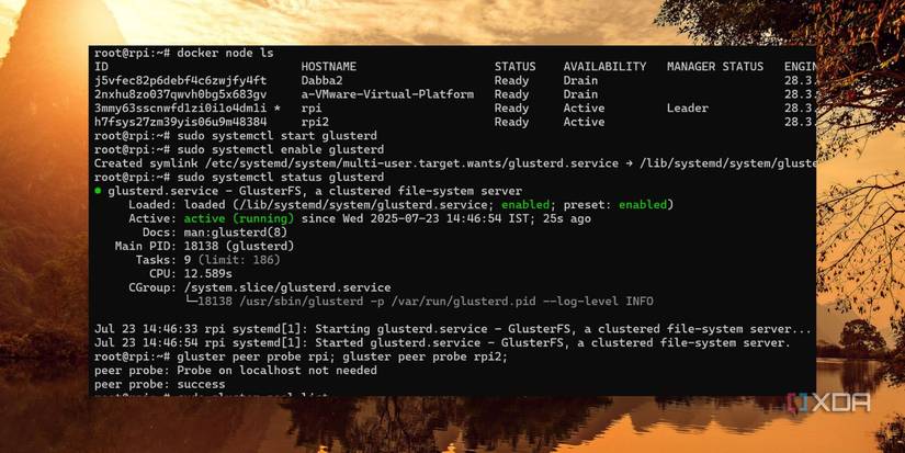 screenshot of docker swarm status glusterfs